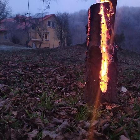 Apartament W Domu Na Wsi Tomaszow Lubelski Bagian luar foto