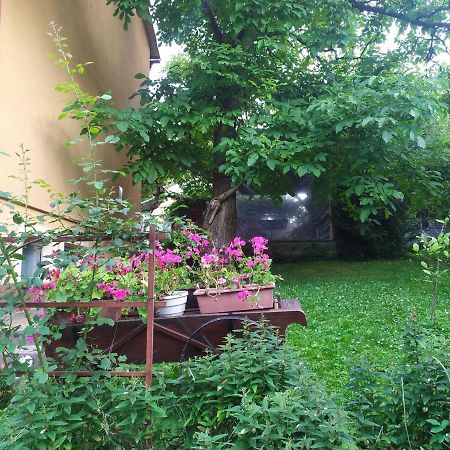 Apartament W Domu Na Wsi Tomaszow Lubelski Bagian luar foto