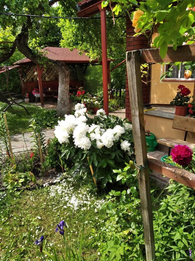 Apartament W Domu Na Wsi Tomaszow Lubelski Bagian luar foto