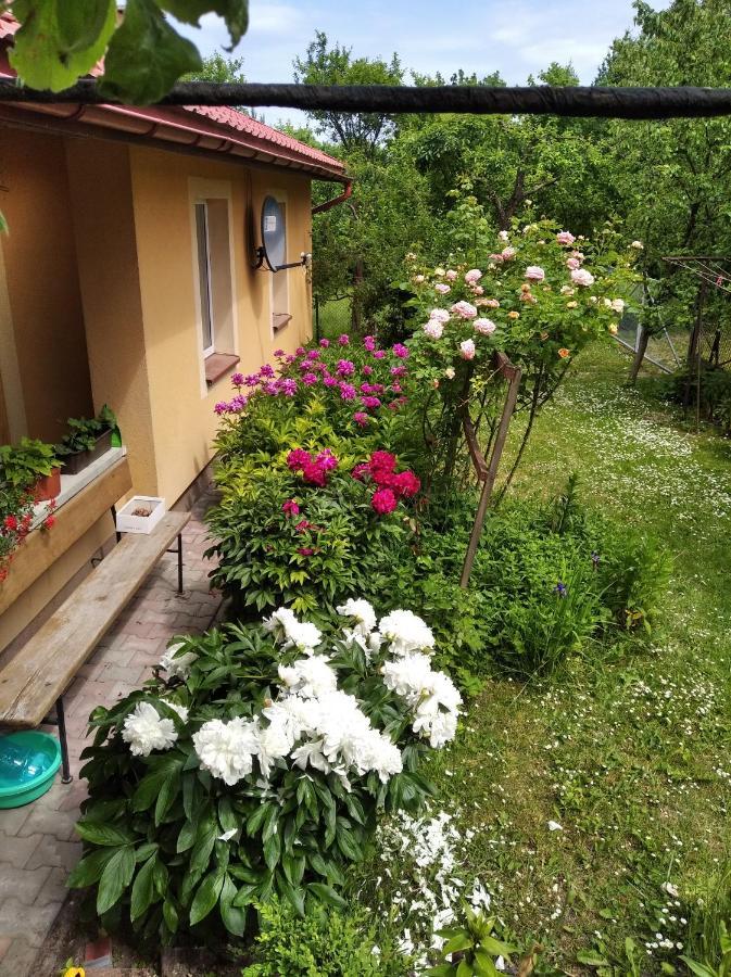 Apartament W Domu Na Wsi Tomaszow Lubelski Bagian luar foto