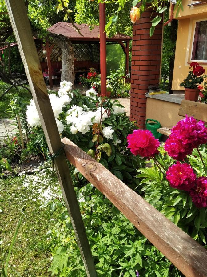 Apartament W Domu Na Wsi Tomaszow Lubelski Bagian luar foto