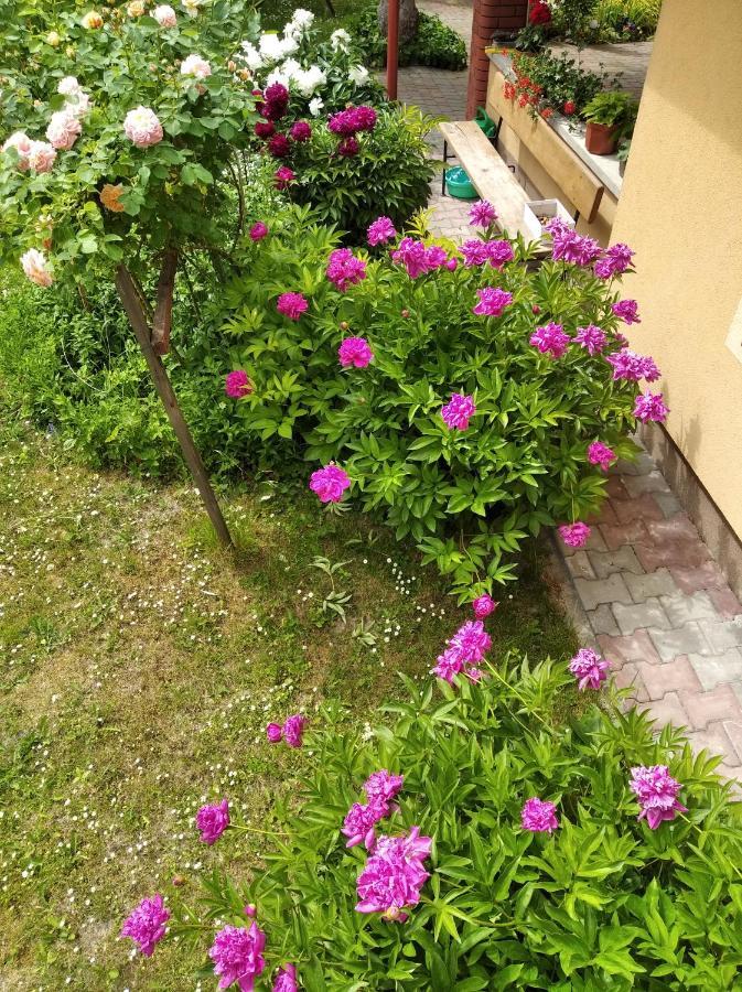 Apartament W Domu Na Wsi Tomaszow Lubelski Bagian luar foto